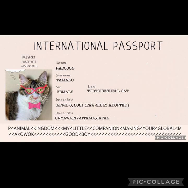 B9d47705 a447 45a6 af62 7b475b49d077 1659953592900