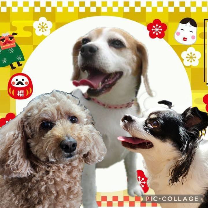 B9d4808d 75ba 41e9 9d0f 8f5fbdcf8e9f 1767243760471