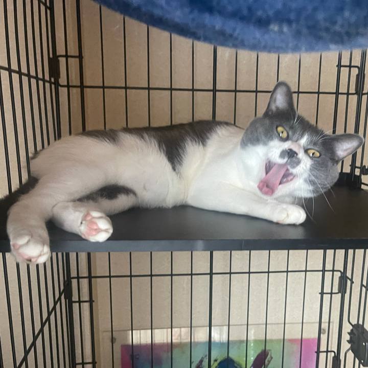 B9d490cc 88d8 4286 b1c4 8fd326ec7ad3 1627709939941