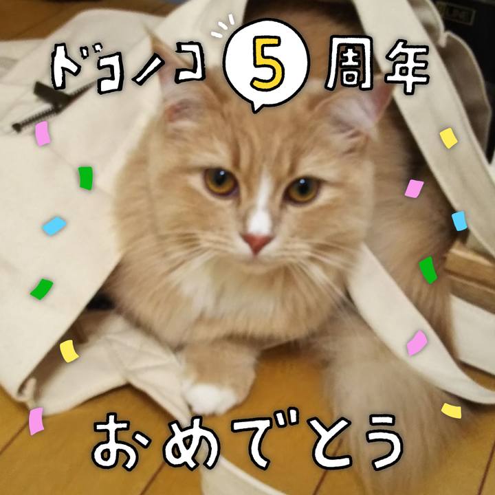 B9d4b659 e24c 4863 be6d 047f8b588896 1622853855648