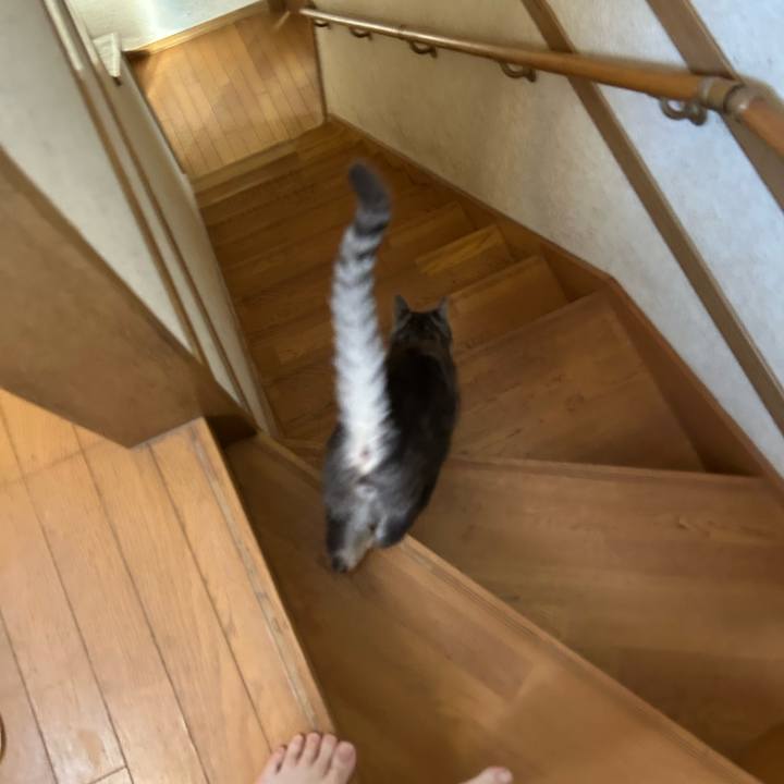 B9d4ba88 6daa 4b69 ba63 003a12f9e428 1773528254332