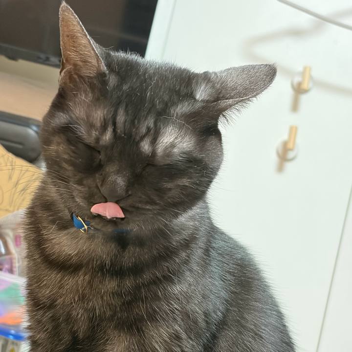 B9d4c700 f2e9 4611 9883 9b39f6e7e2cb 1772369078514