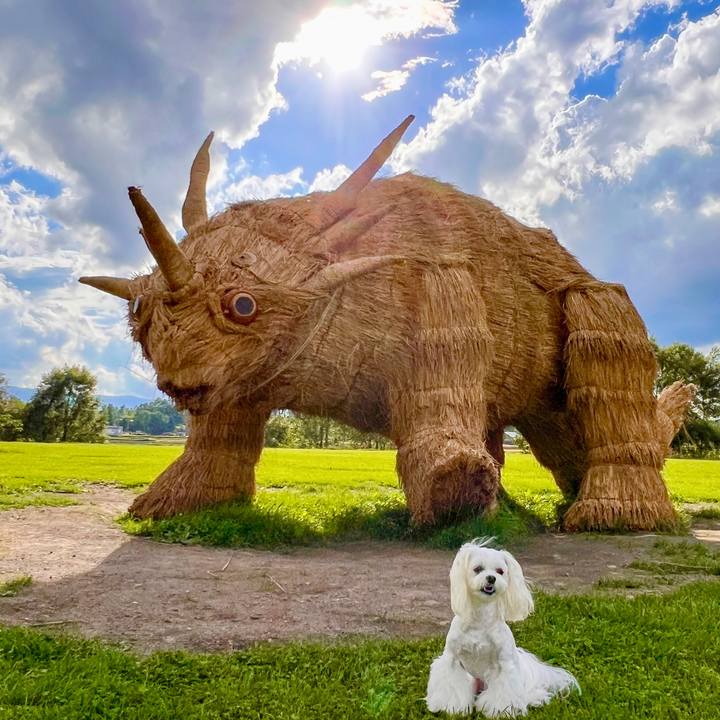 B9d4ea0c b497 4924 9417 da21c99bc822 1693655536182