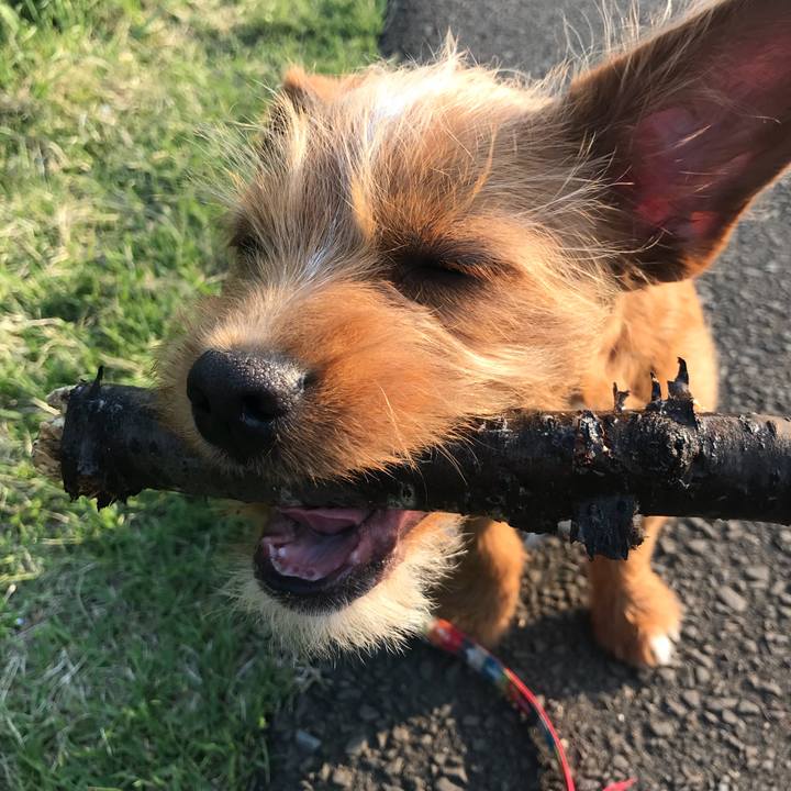 B9d4fdd5 3c4f 4089 9279 4d772102cca6 1524800747835