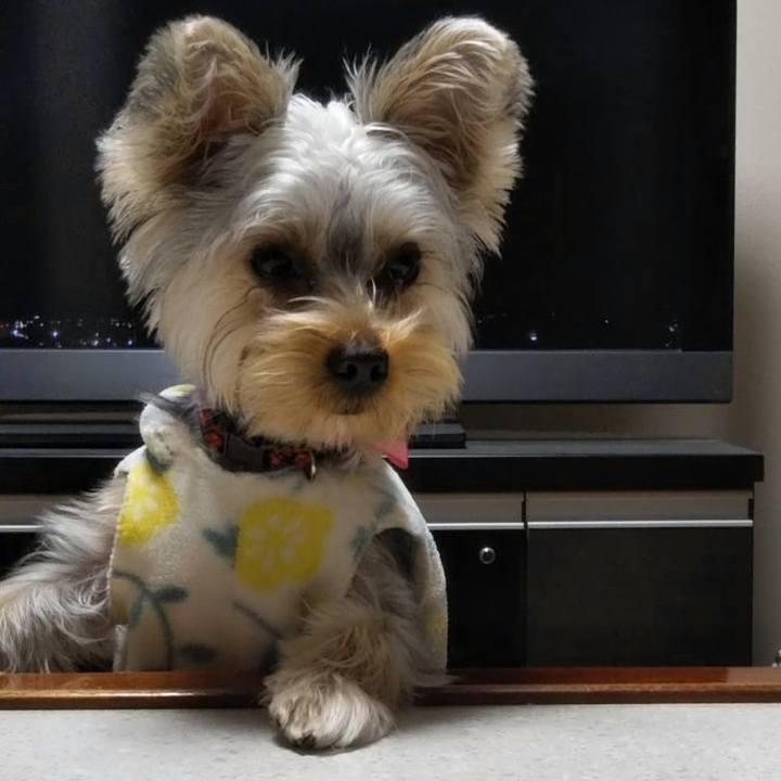 B9d50372 d352 49bb b1ae 76a6bc171be0 1546250515006