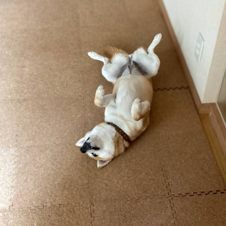 B9d50b5a 6a92 4e8d 9eca 8fcea170bce3 1655702603194