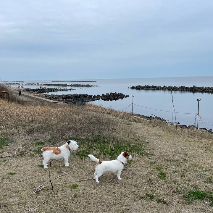 B9d51cb3 520b 464f 9993 51e7584ceedd 1680738760793