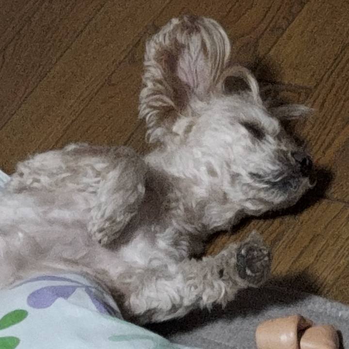 B9d55852 b837 475e a91e cd74453ce867 1699510464483