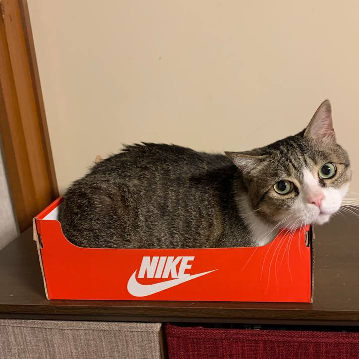 B9d55efb 2022 425c a02b 51648536eedf 1589716987072