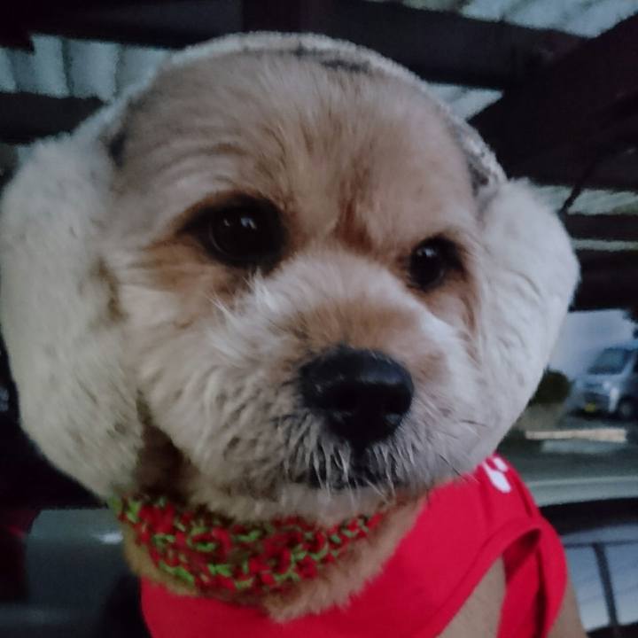 B9d58431 345e 48d1 9785 ceb23952c8ad 1513289716069