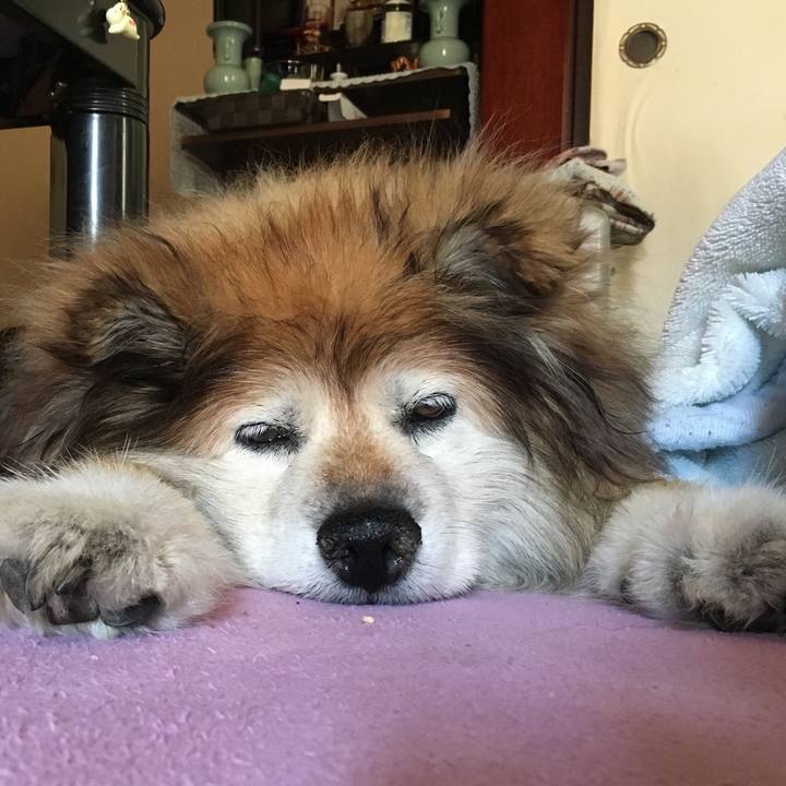 B9d5a470 fbb4 4d60 a828 28ab0dfca846 1563604849037