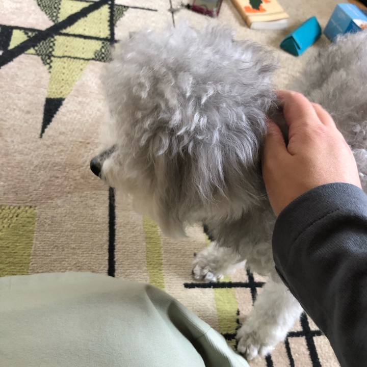 B9d5e6d9 d9d6 4734 9b10 4f2988a21074 1621653355805