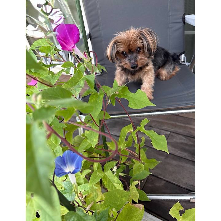 B9d5e998 f9e0 425c 859f ea21867b884c 1756508253702