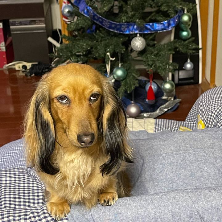 B9d5f8ba ee07 4059 aef8 403b42c2f1e1 1672052932771