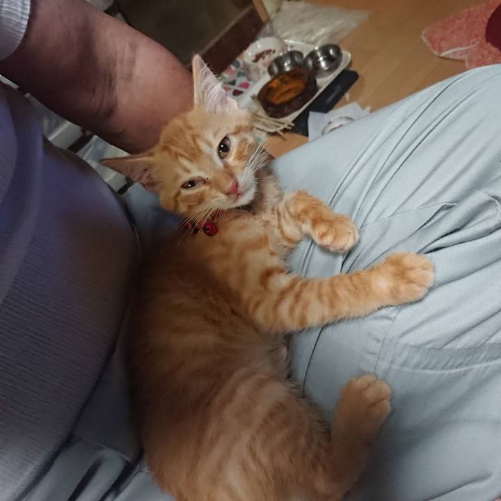 B9d5fe25 ce22 41bd 8ea5 0d66095355f2 1629975405573