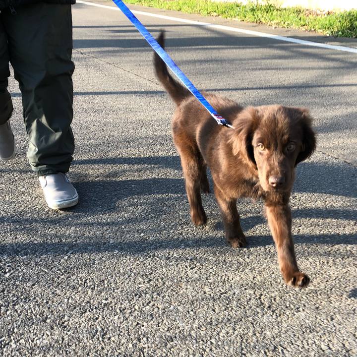 B9d634eb 702f 4a63 b7a0 ed58e8285cb2 1552776659116