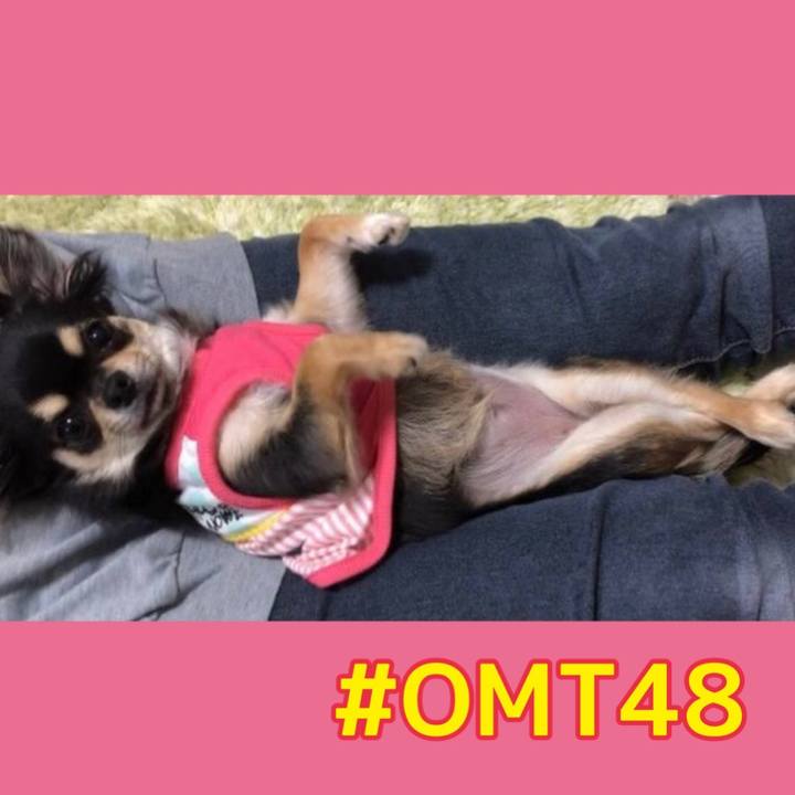 B9d672a9 7c21 475a 9ef9 fb65029a7da9 1677789541546