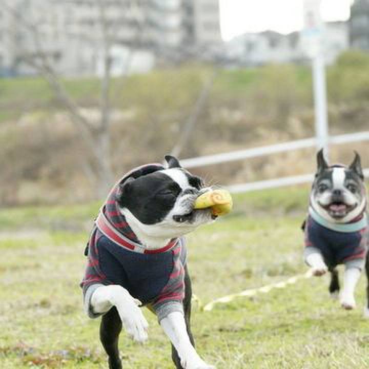 B9d68b45 b91d 40aa b20f 993656ee22a0 1577950857204