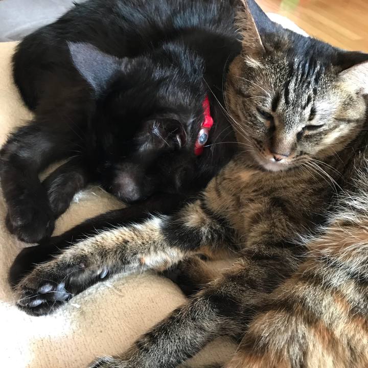 B9d6950f 3263 4c35 acc4 79cee77c503e 1526701546517