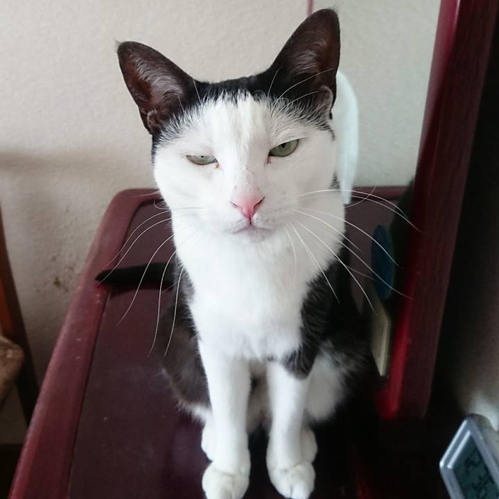 B9d6a017 2bad 4438 97d3 1d4c46f77ee9 1519000032008