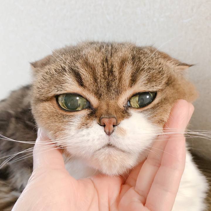 B9d6a197 6606 474f 94da 309e34d6c41c 1584759931540