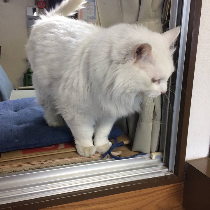 B9d6baf3 14ee 4955 9cd1 09cd0d2c9323 1518992954427