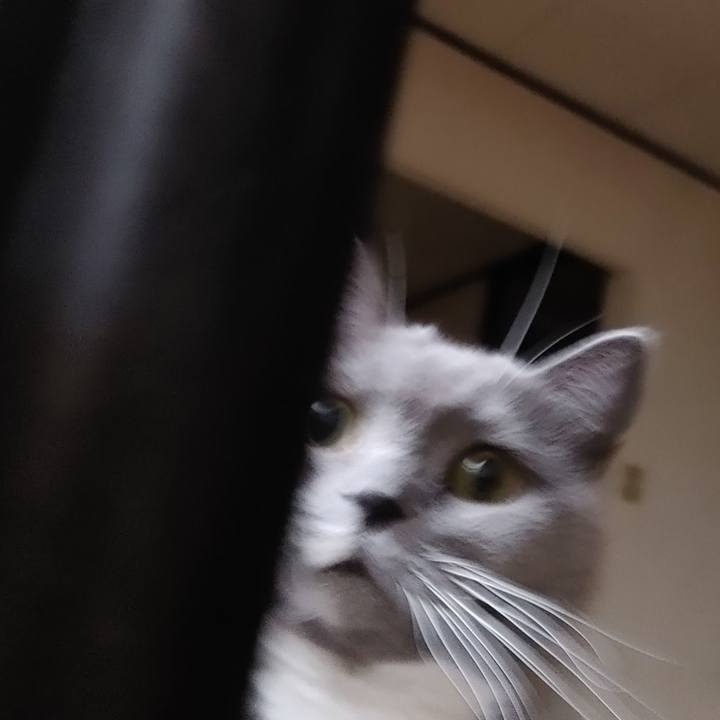 B9d6da34 77bf 433c ad5b 3eda141d41af 1666789731407