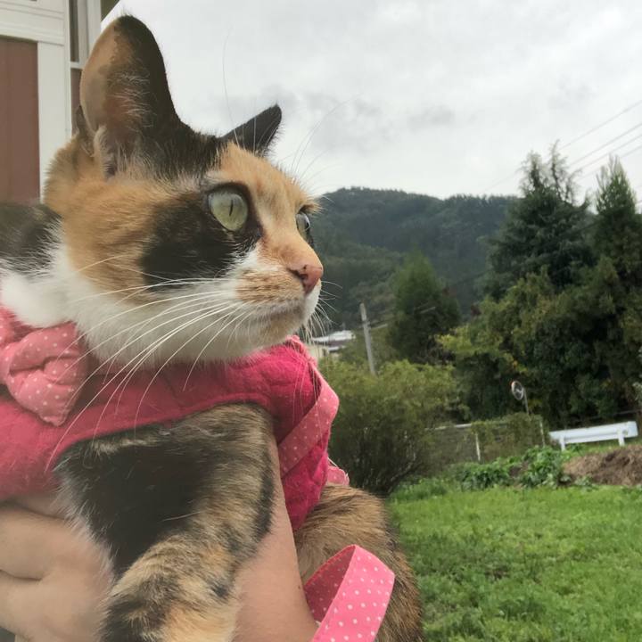 B9d6ebf3 b3fe 4616 b3ba 0552e7a25663 1571914579085