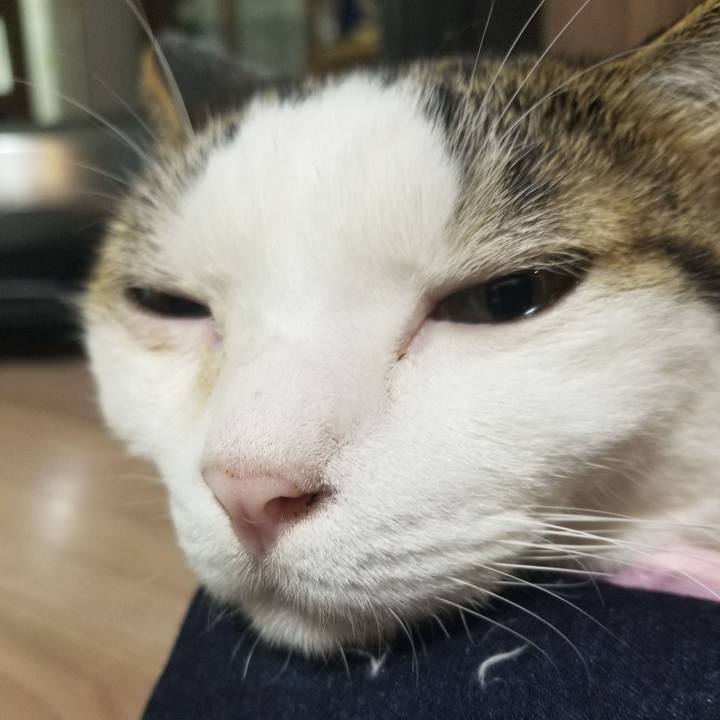 B9d6edef 395f 4337 b2f0 7fb9f2e6ecb1 1599865391825