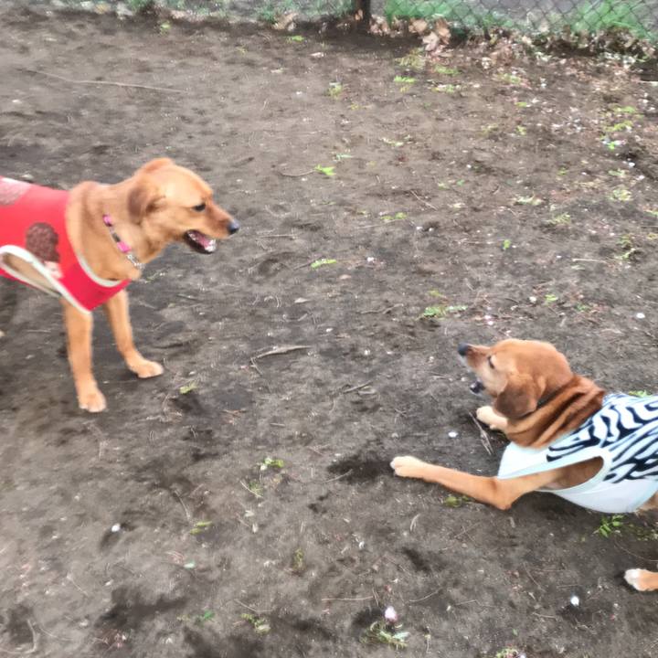 B9d75d7f 62cb 4937 9764 ffa1d33ff49e 1554988112416