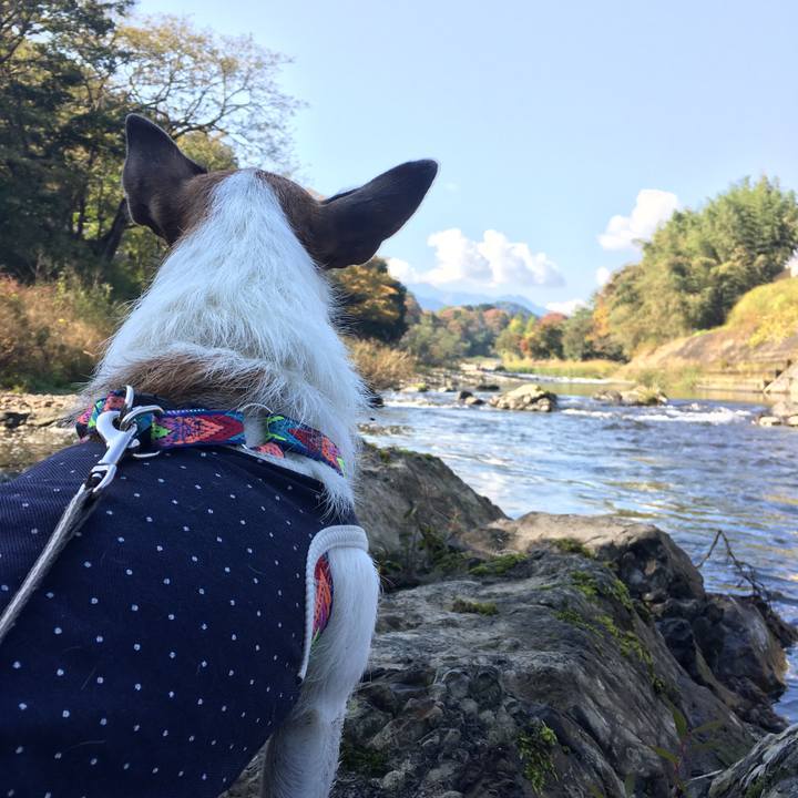 B9d76ff9 b5a8 4d5b 81fe 8c504aa25e52 1635981868096