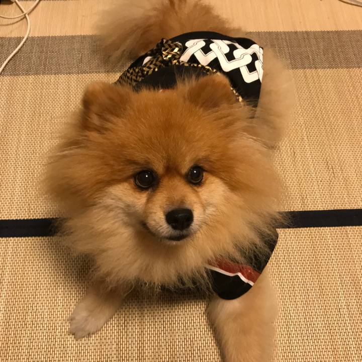 B9d7865e c0d7 4391 ab76 935bb5fea708 1533386615380