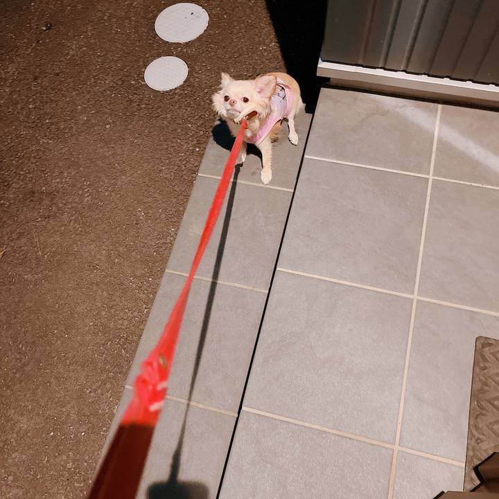 B9d78942 ff67 4042 b7df dbb53bfdc58d 1661855061310