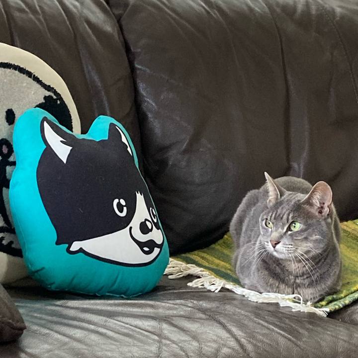 B9d7d8c8 4fae 4d5d 9c47 d91ba8bef78f 1653619181053