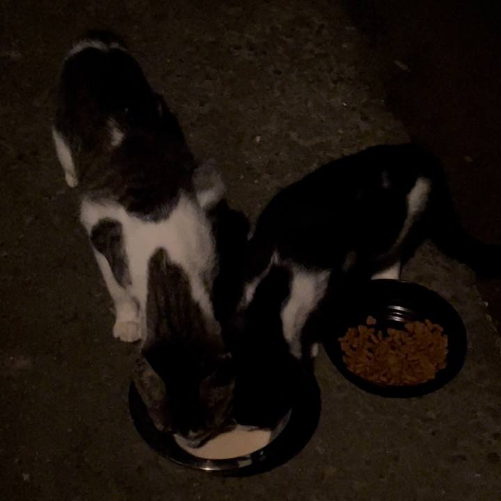 B9d7d9f6 e973 4a31 bec8 a8939ce2ebf0 1676981333320