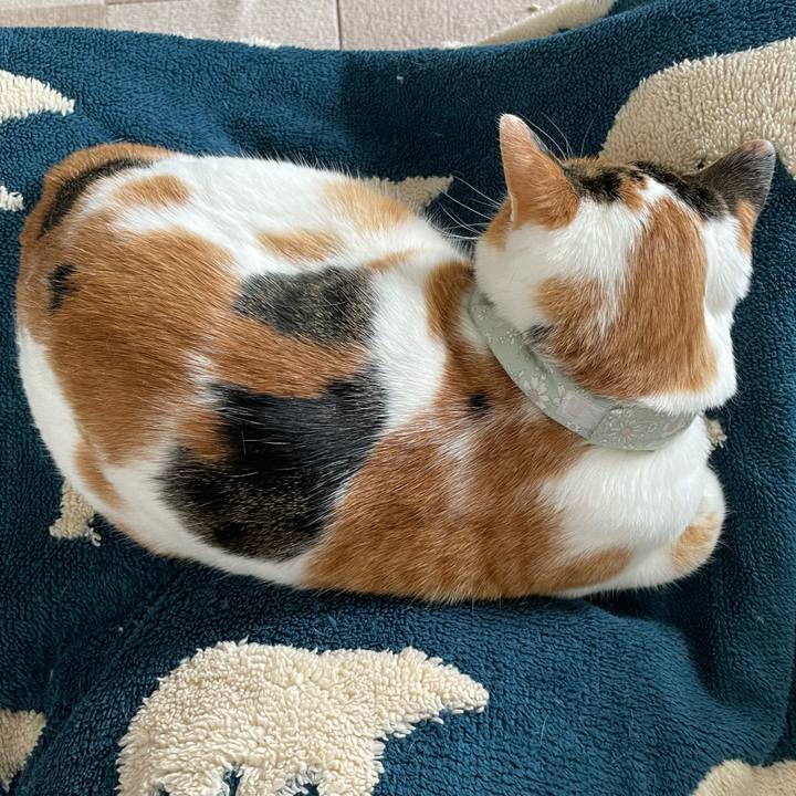 B9d7db9f e779 4eb1 bc63 8bca6a2eafd5 1671330755870