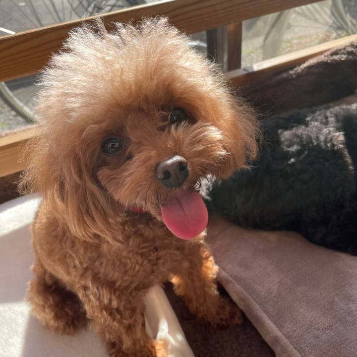 B9d7e82a 13ad 40fe 9753 c841d1ddabde 1639217763115