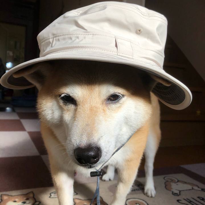 B9d7e8d4 99e7 4d54 8c95 1e5ac9e17dcd 1566804442413