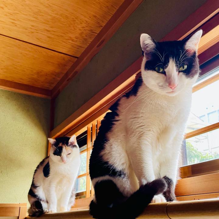 B9d7eb3e 3d8e 452e 8409 8703572276f6 1618109952890