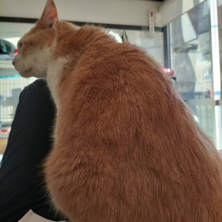 B9d7f698 669e 4cc6 bfad 08ab5091c8e8 1639953341923