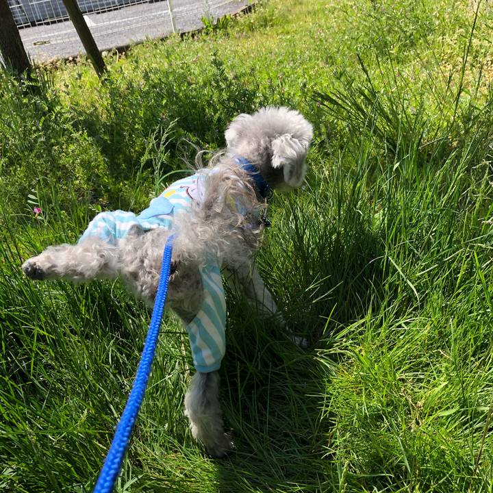 B9d8107c ecc1 4e32 8c6f d21141978ab2 1707876033001