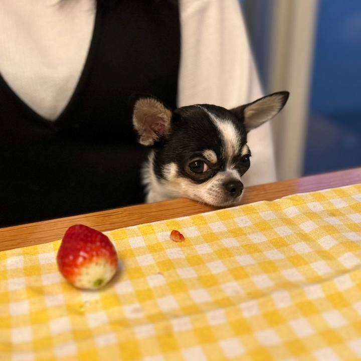 B9d833e7 17ac 420d bba5 e5fd30a34436 1766900427096