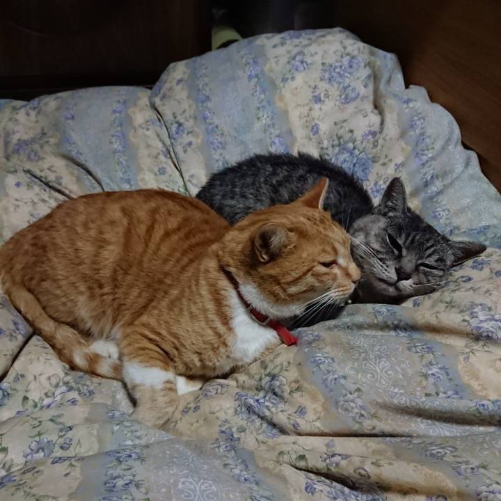 B9d890fc 438a 4228 9113 d15ca1b7b0c8 1573387732034