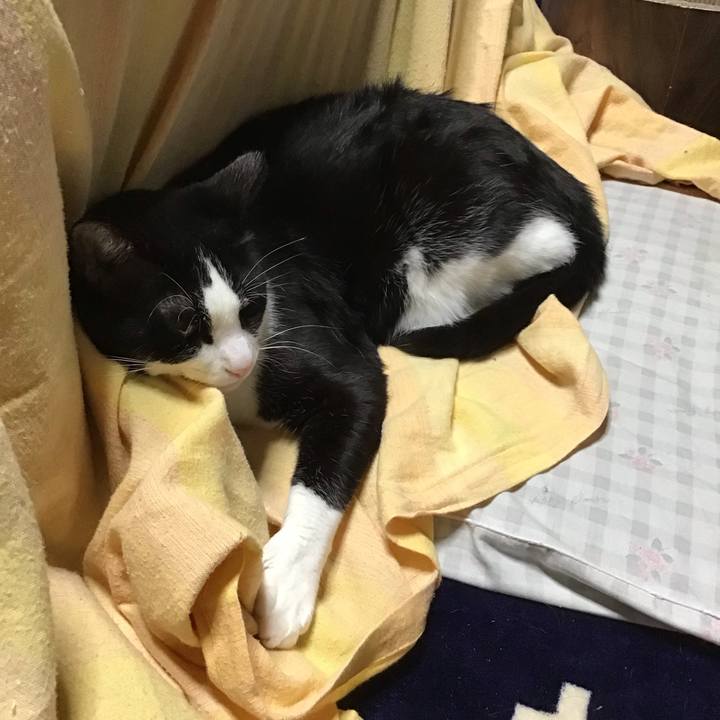 B9d8b300 a5b5 4d61 a44e 6a85ae20d219 1712623245221