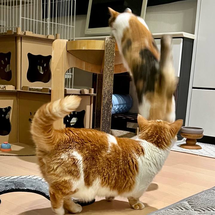 B9d8d185 e38e 487c aaca 37367140fb41 1789270290173
