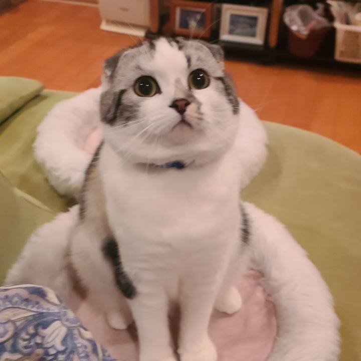 B9d8e835 a5fe 4e9d a925 3bbc32564c07 1645699097269