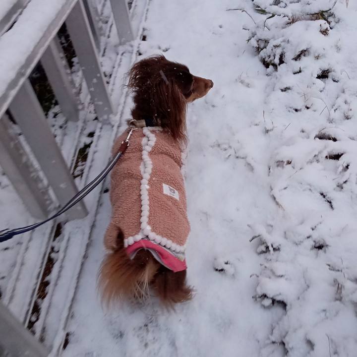 B9d8fb01 918c 414b 99d8 4fb7ff9d6fe2 1770505349952