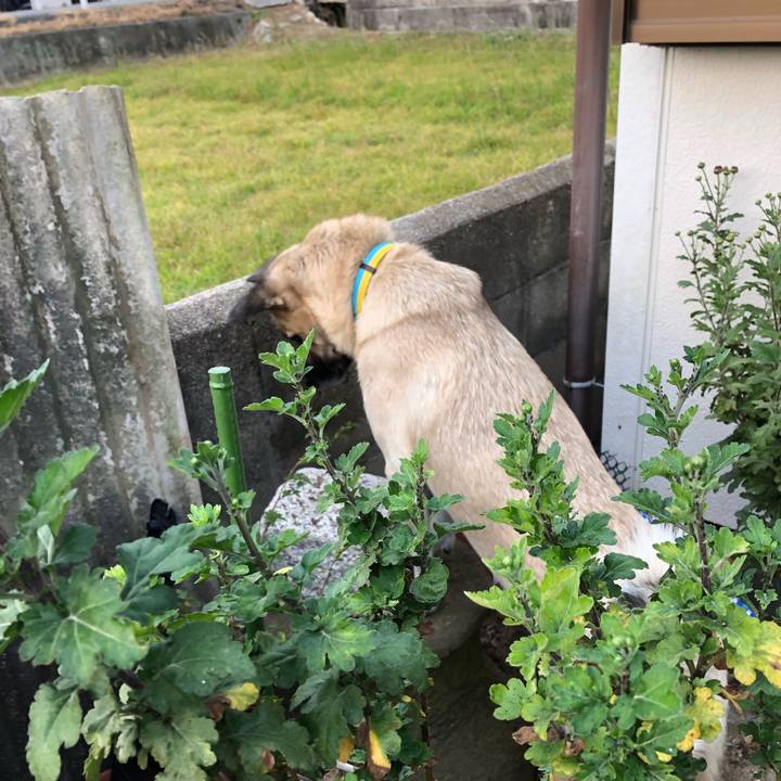 B9d8fbc2 ccbc 486c 8f43 2816f64ba001 1541680414029