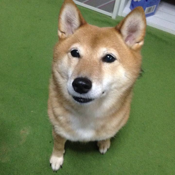 B9d910ac 8c5f 49ad 8f3a 941e20eadd19 1533617384401