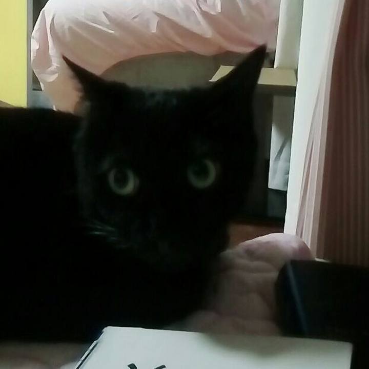 B9d96651 d0b1 4738 b6a6 046cb5c2cc8d 1535377029213